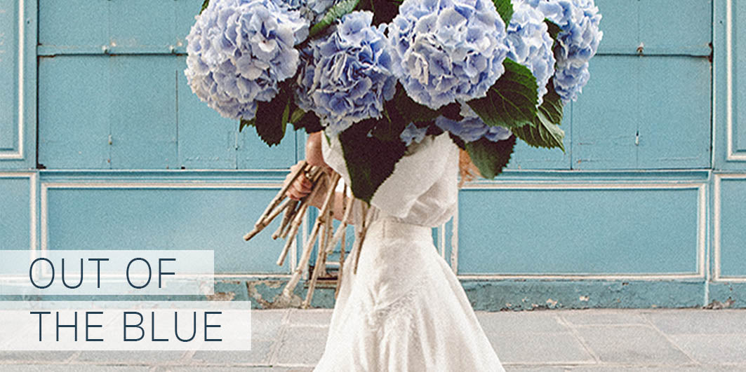 Out Of The Blue  - Carla Coulson