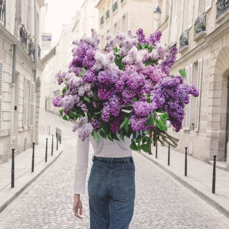 CARLA COULSON - Young Girl In Bloom