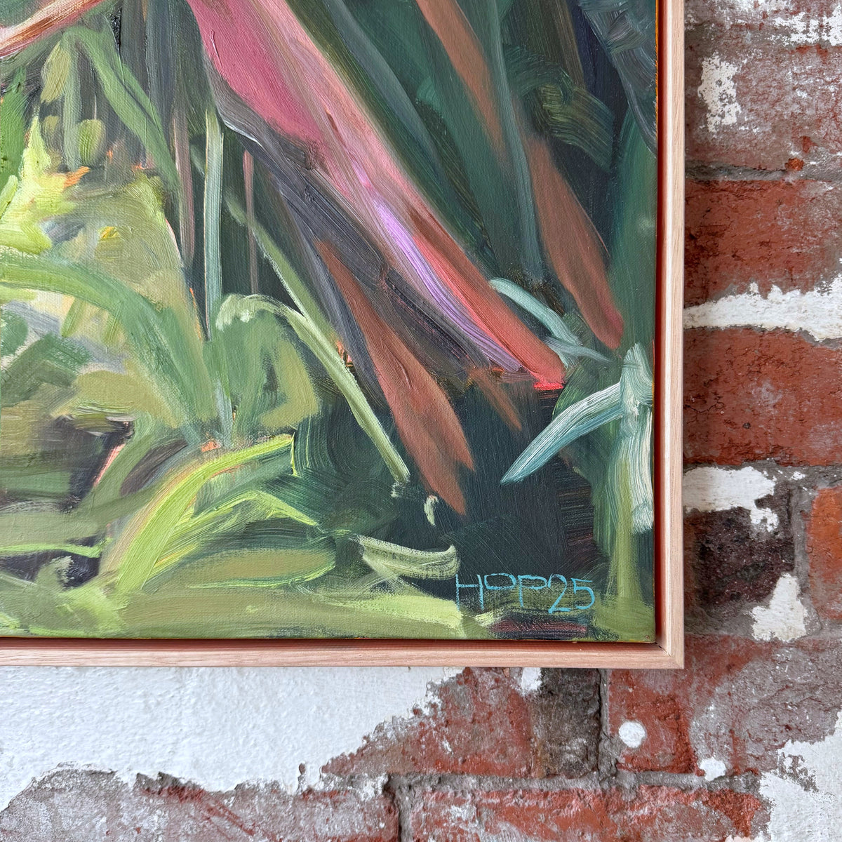 Hoppy Schneider - Daintree Creek Bed