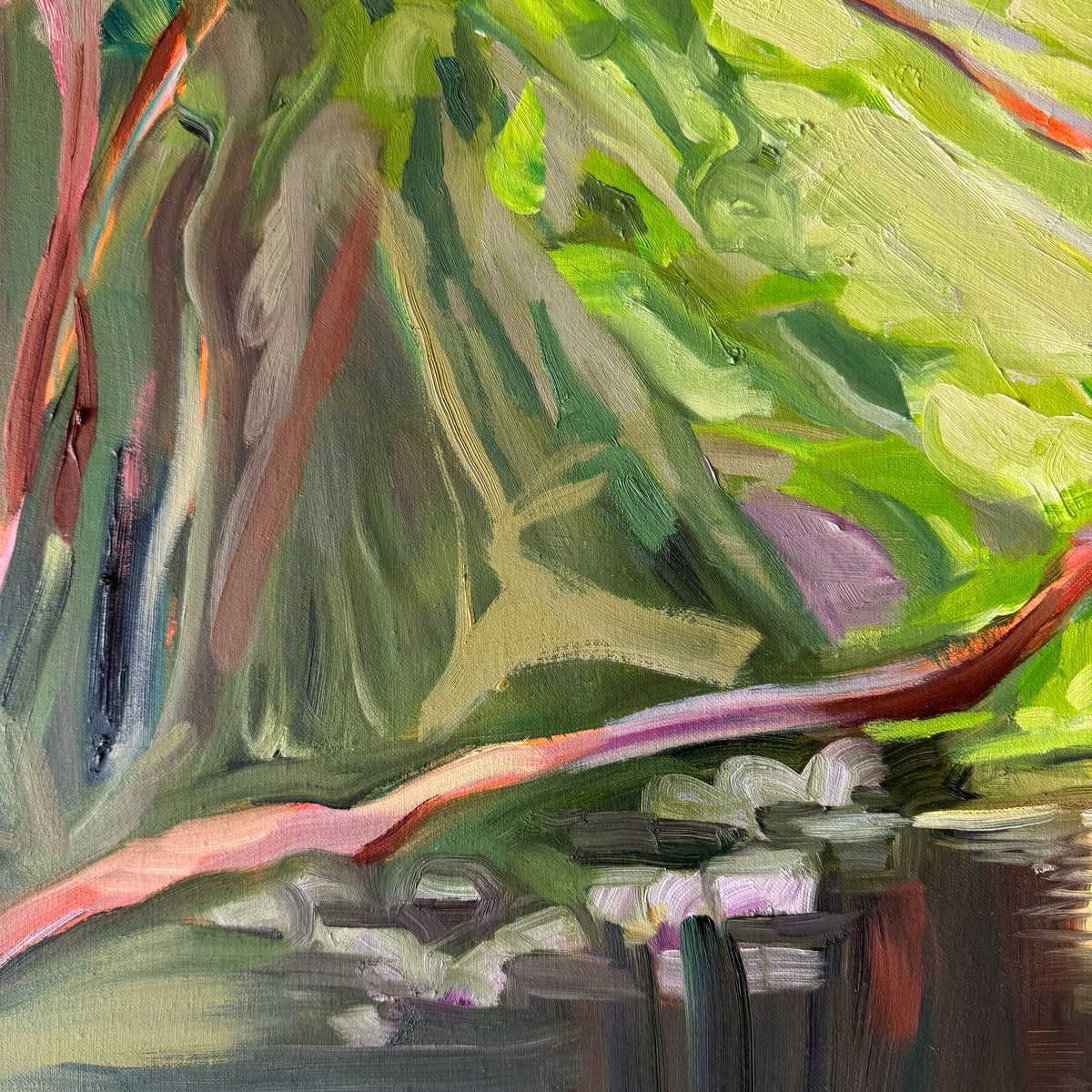 Hoppy Schneider - Daintree Creek Bed