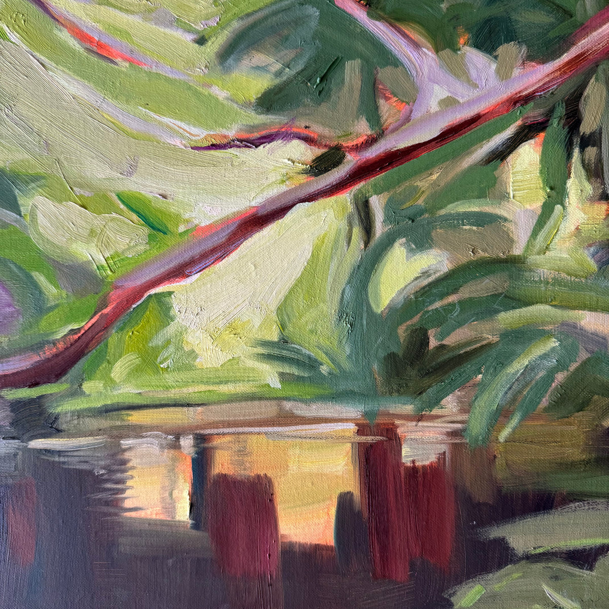 Hoppy Schneider - Daintree Creek Bed