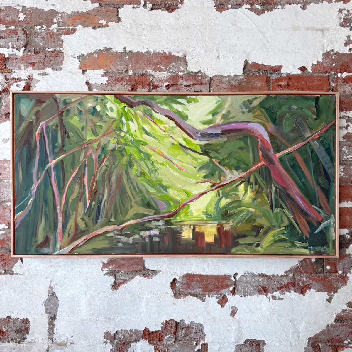 Hoppy Schneider - Daintree Creek Bed