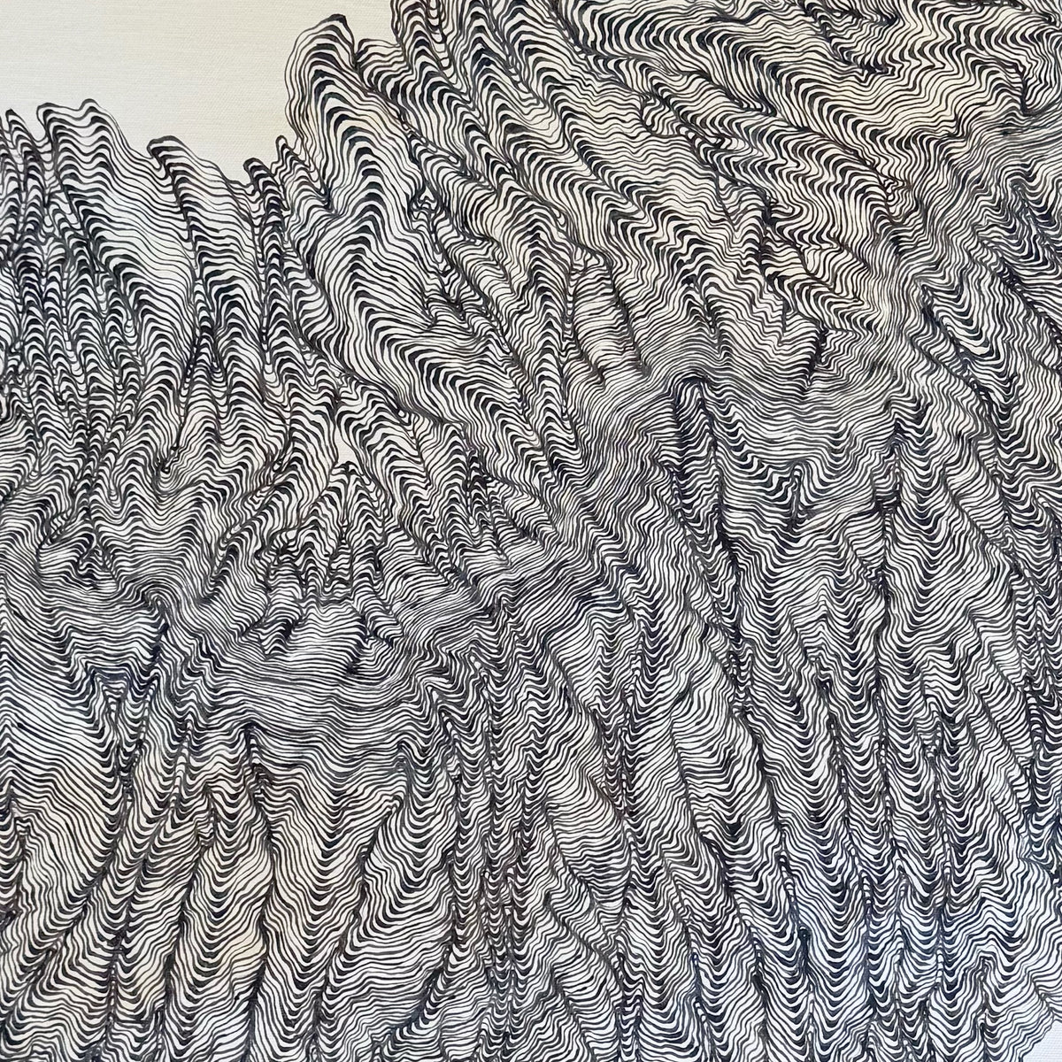 Jennifer Tarry Smith - Line In Light