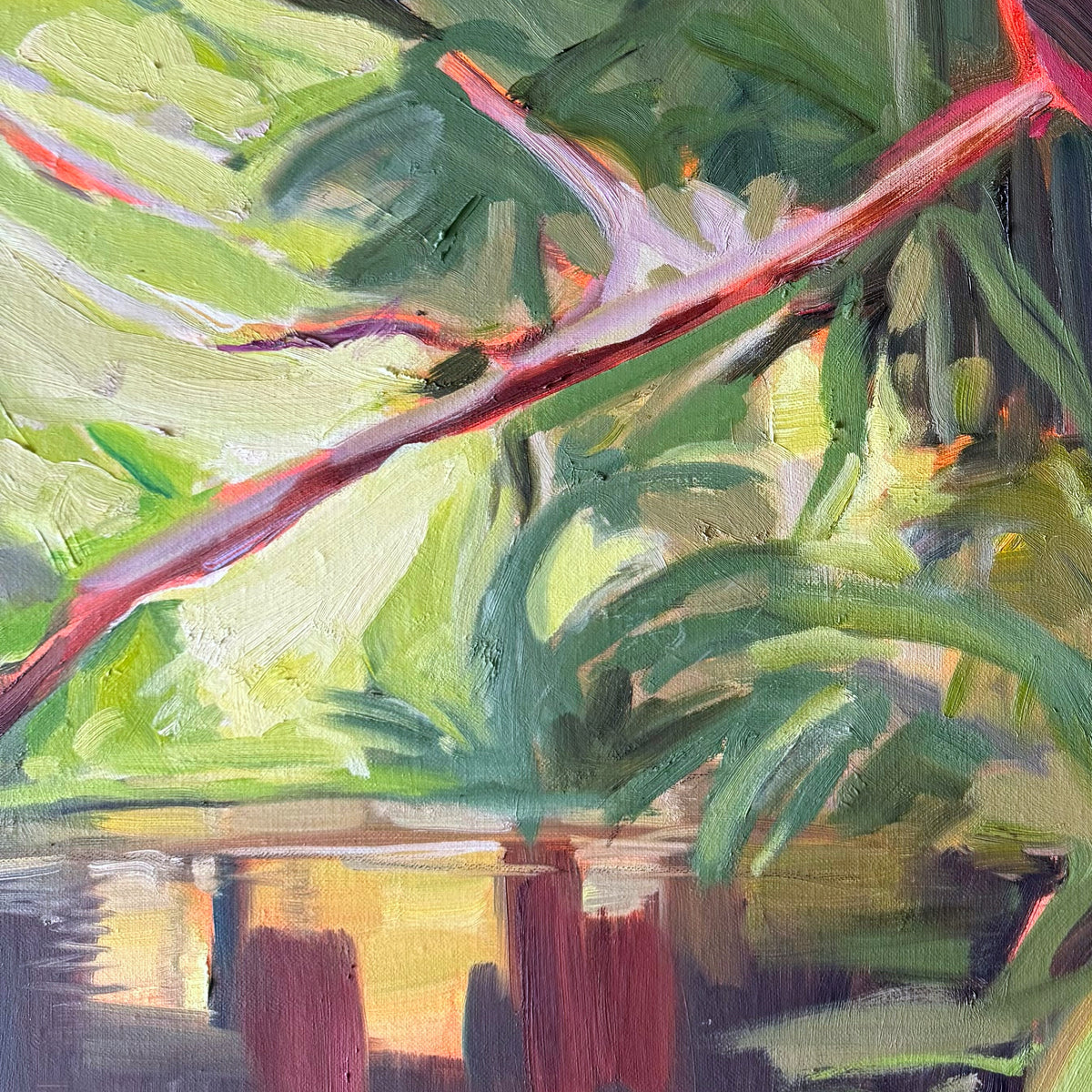 Hoppy Schneider - Daintree Creek Bed