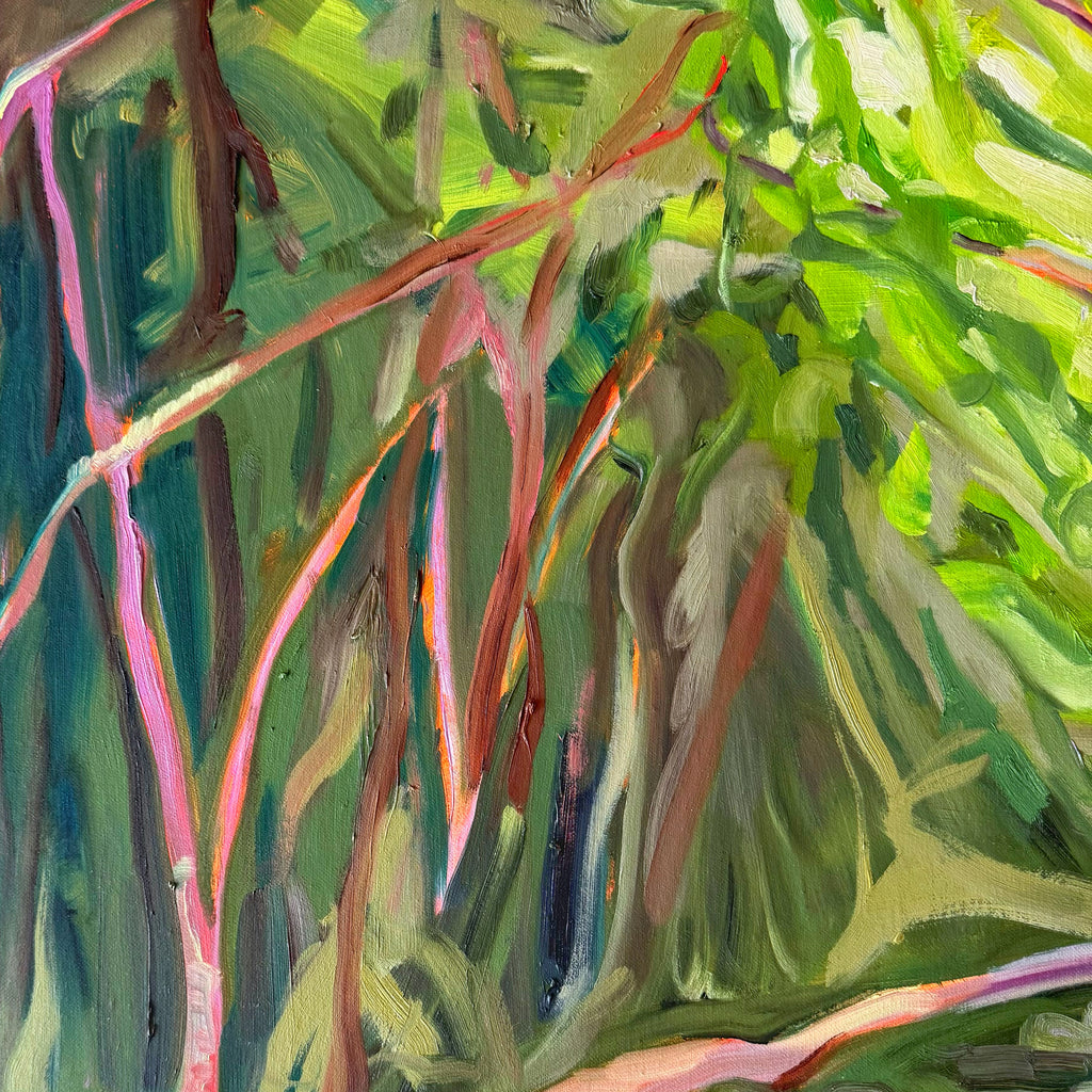 Hoppy Schneider - Daintree Creek Bed