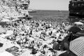 Alive - Polignano a Mare- CARLA COULSON