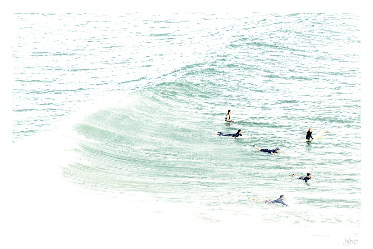 Lisa Atkinson -PANDANUS LOVE   Byron Bay – Noosa -Anticipation, The Pass, Byron Bay 2024 – Limited Edition Fine Art Print