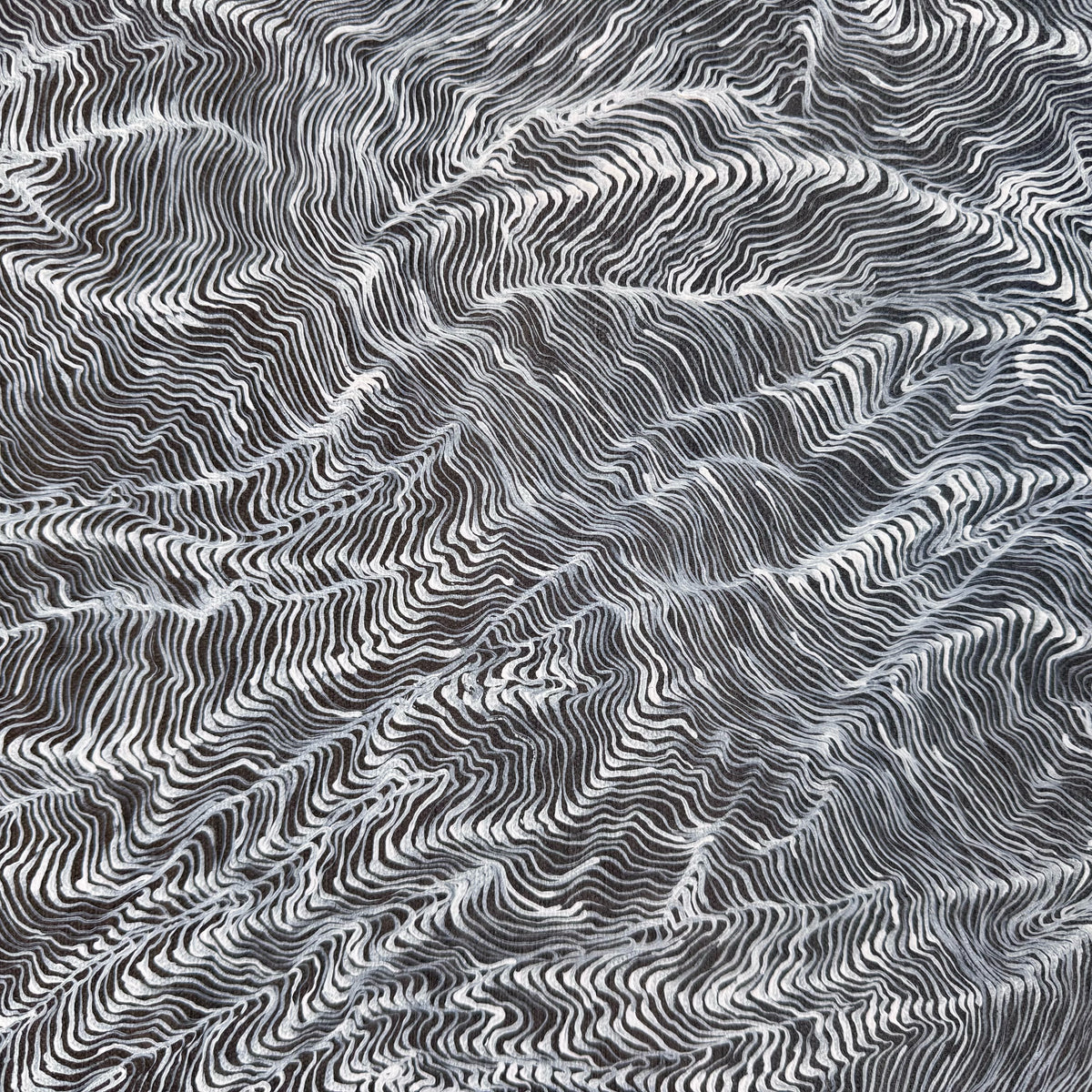 Jennifer Tarry Smith - Line In Shadow