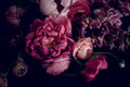 Carla Coulson - Introspection