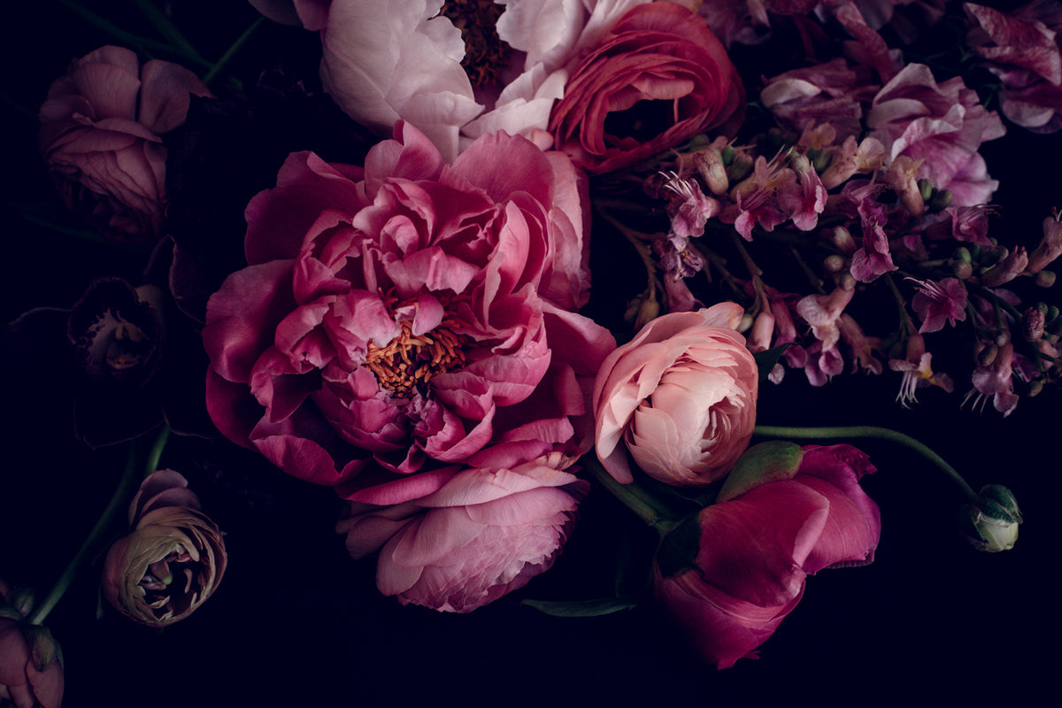 Carla Coulson - Introspection