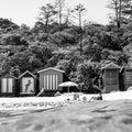 Lisa Atkinson - Offshore Mills Beach SQ – Limited Edition Fine Art Print