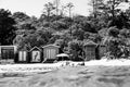 Lisa Atkinson - Offshore Mills Beach 2019 – Limited Edition Fine Art Print