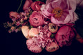 Carla Coulson - Opulence