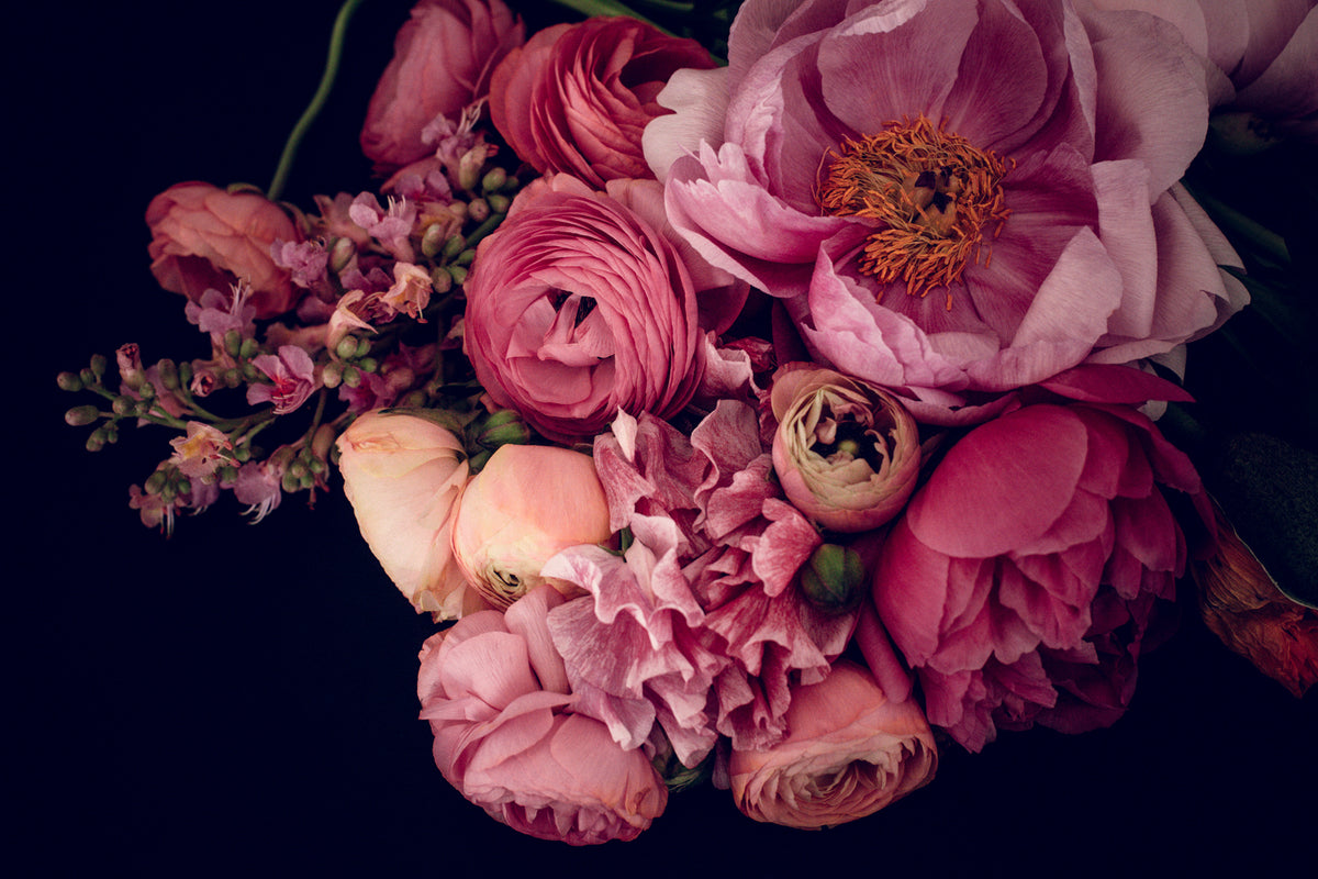 Carla Coulson - Opulence