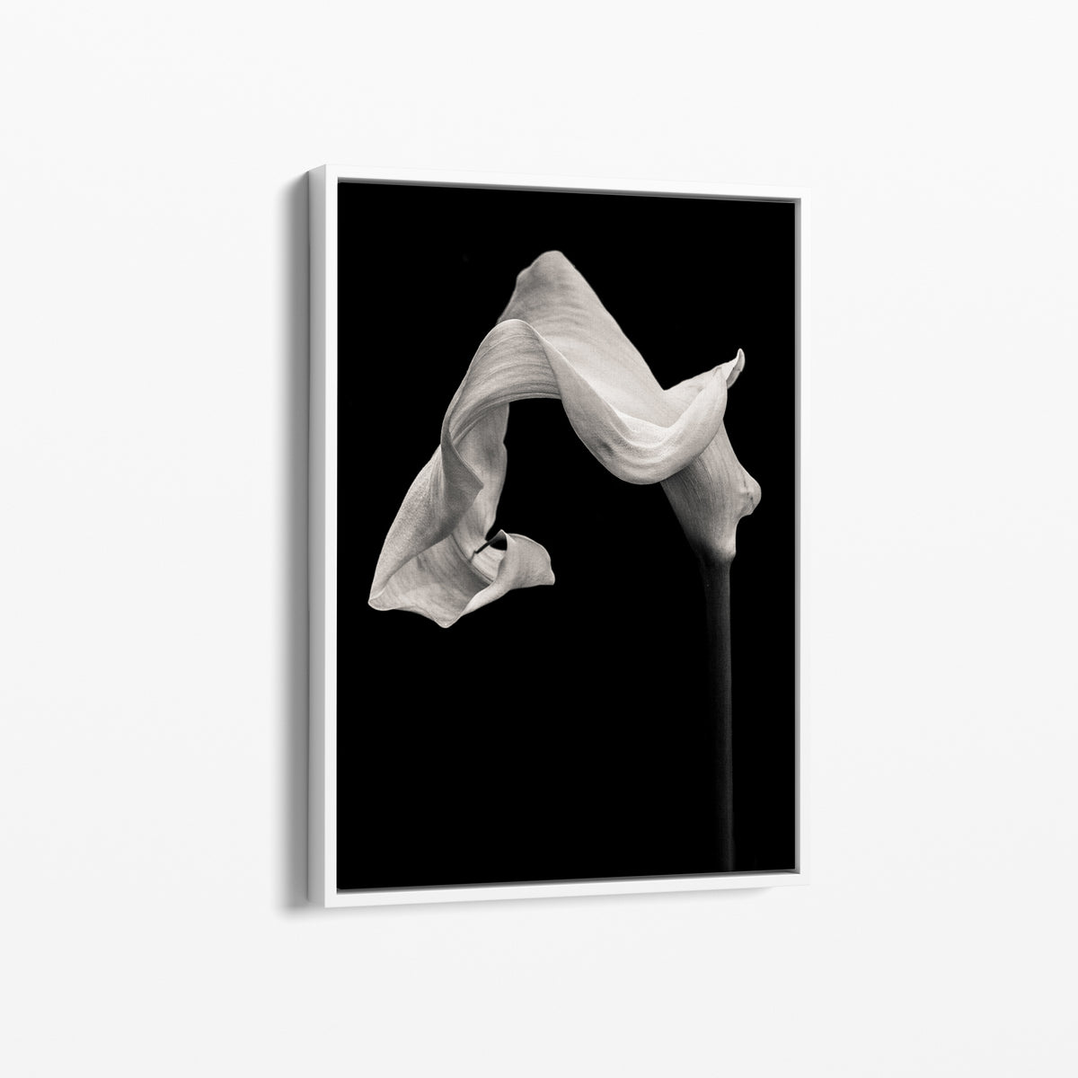 Silky lily FORMAN ART & FRAMING