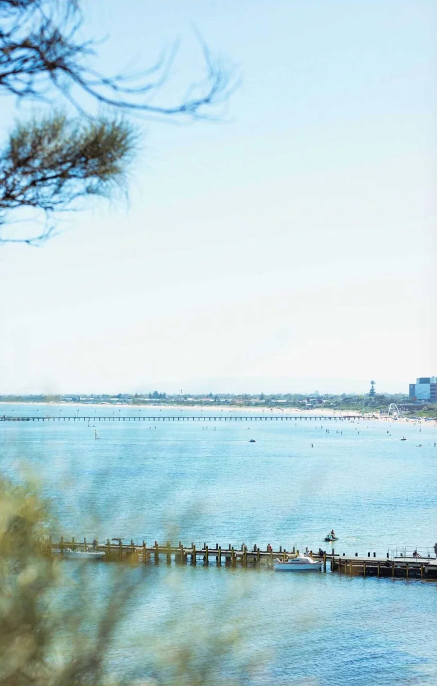 Lisa Atkinson - Oliver’s Blues, Oliver’s Hill Frankston, 2023 – Limited Edition Fine Art Print