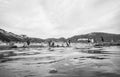 Lisa Atkinson - Backbeach Summer, Sorrento Back Beach 2021 – Limited Edition Fine Art Print