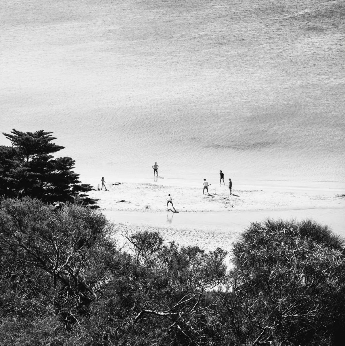 Lisa Atkinson - Beach Cricket, Mills Beach (SQ) – Limited Edition Fine Art Print