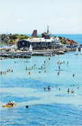 Lisa Atkinson - Snapper Point, Mornington – Limited Edition Fine Art Print
