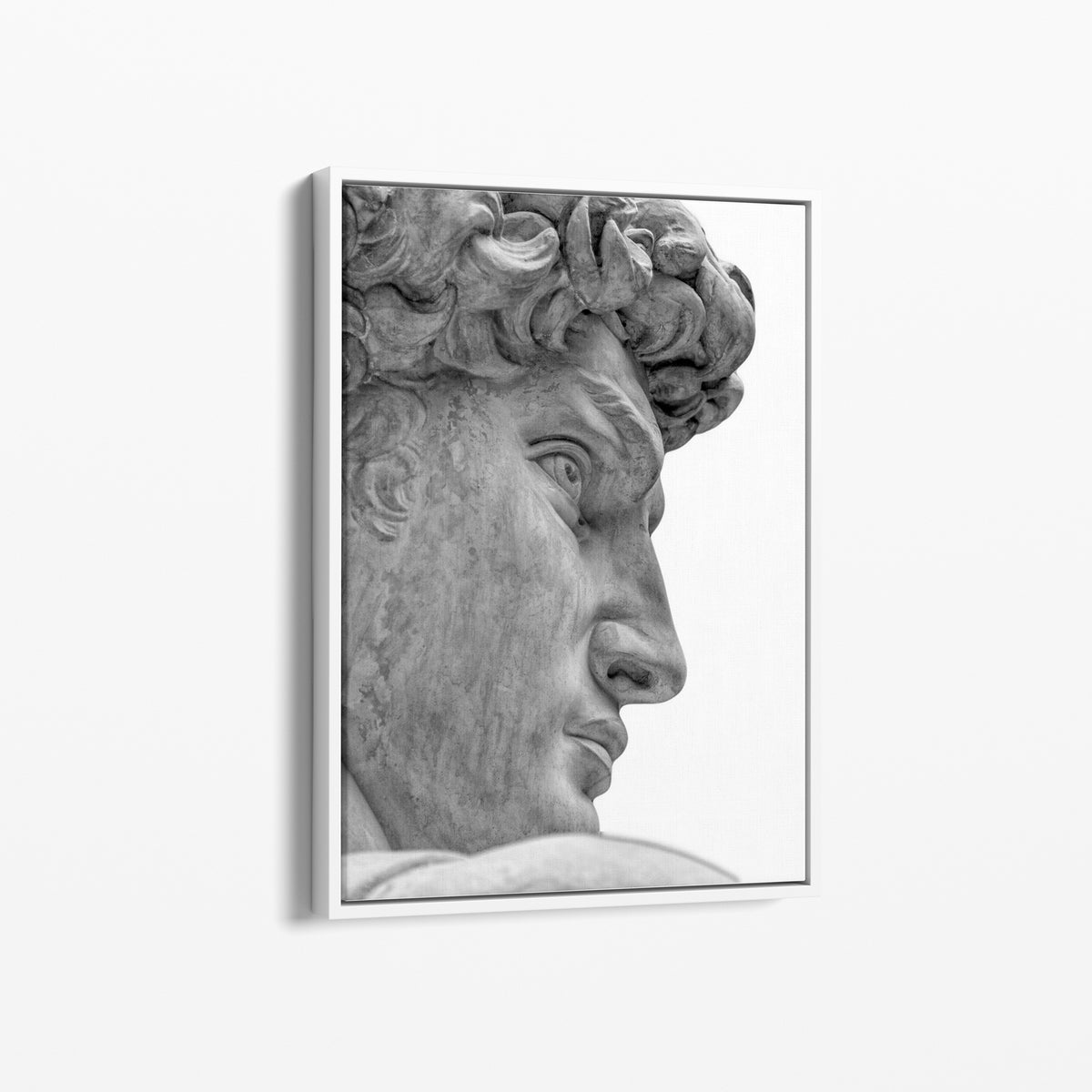 Statue of David FORMAN ART & FRAMING