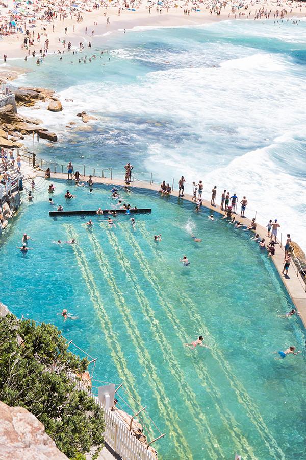 Bronte Pool (Portrait) - CARLA COULSON