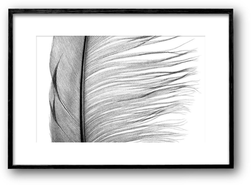 Quill on Paper - MARIYA ROVENKO