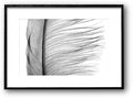 Quill on Paper - MARIYA ROVENKO