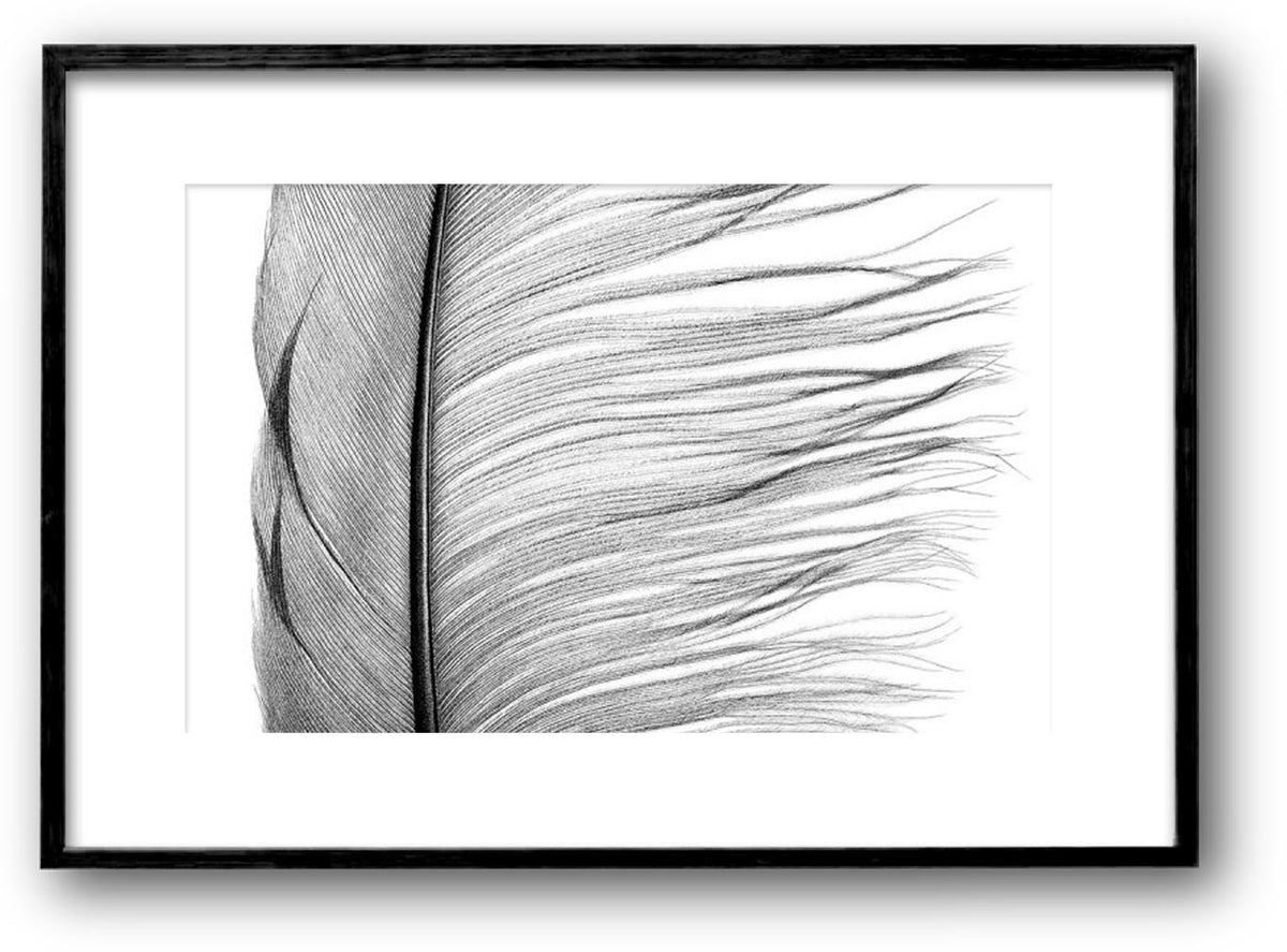 Quill on Paper - MARIYA ROVENKO