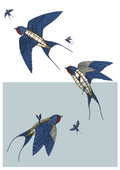 Free As A Bird - THE NONSENSE MAKER - FORMAN EXCLUSIVE