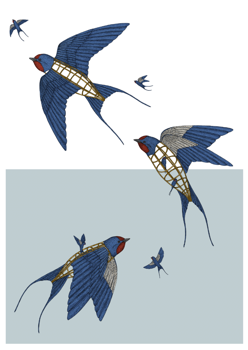 Free As A Bird - THE NONSENSE MAKER - FORMAN EXCLUSIVE