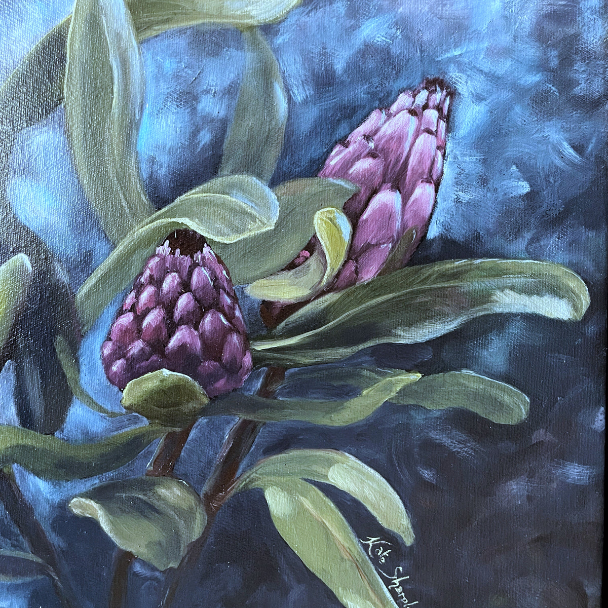 Kate Sharples - African Protea