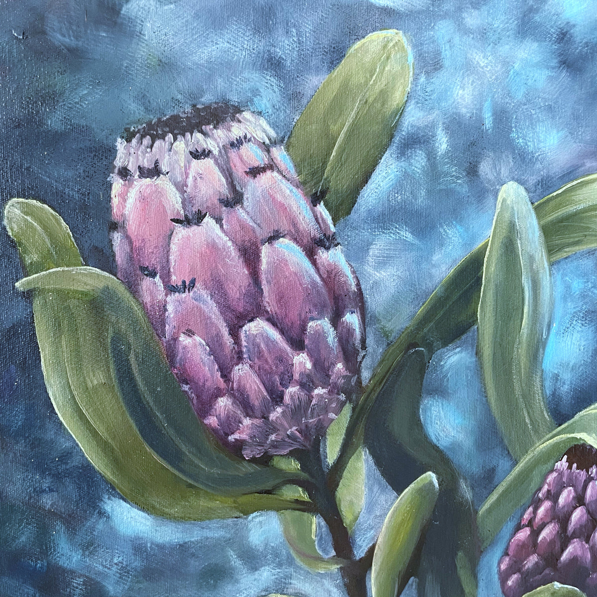 Kate Sharples - African Protea