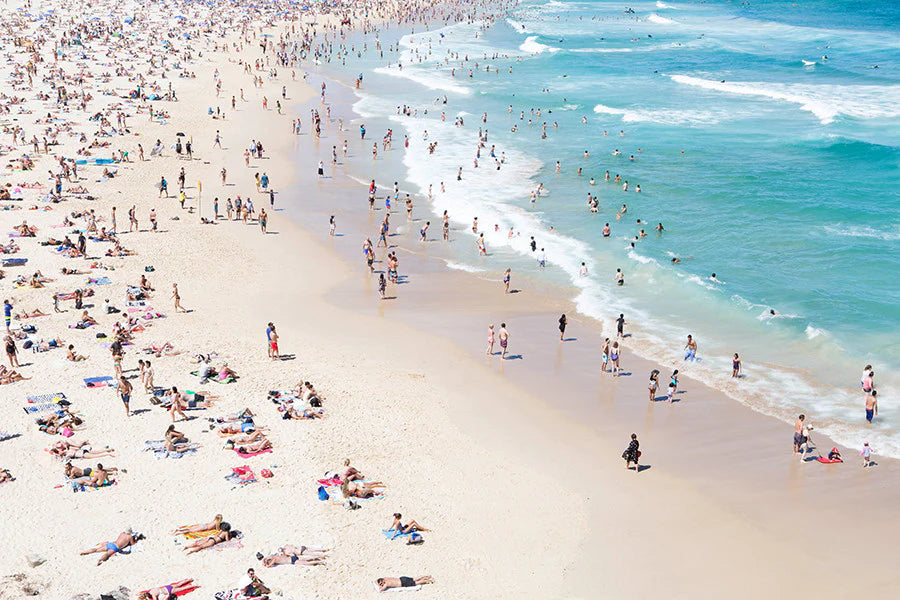 Bondi Water Jungle - CARLA COULSON