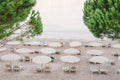 Between The Trees Ibiza - CARLA COULSON